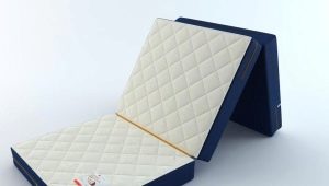 Folding mattress on the sofa for sleeping: features and choices