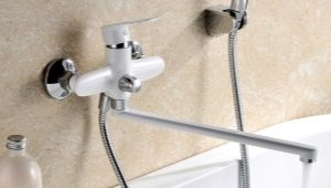 Shower faucets with long spout: description, types and models