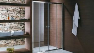 Glass shower doors: features, sizes and designs