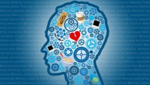 Motor memory: characteristics and features of development