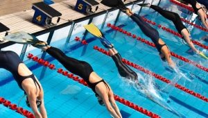 How to choose pool fins?