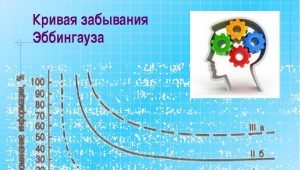 The Ebbinghaus Forgetting Curve: Description and Application for Memorization