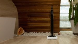 Steam generators and steam cleaners Bork: advantages and disadvantages, range