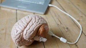 Arbitrary memory: features and methods of development