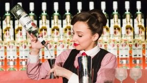 Bartender CV: Drafting Tips, Key Points