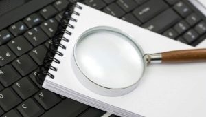Investigator: duties and differences from the investigator