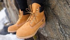  Timberlands: description, assortment, selection