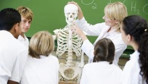 Biology teacher: features and responsibilities