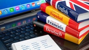 Translator profession: description, pros and cons, skills required
