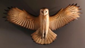 How to carve an owl out of wood?