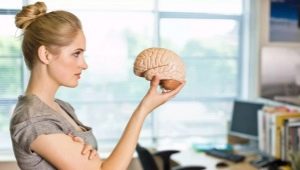 How to memorize information better: a description of effective techniques and methods