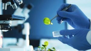 Who is a biotechnologist and what does he do?