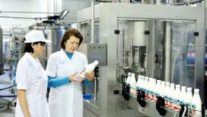 Who is a Technological Technician and what does he do?