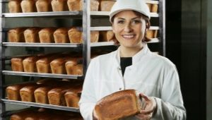 All about the profession of bakery technologist