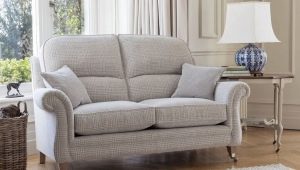 Varieties and secrets of choosing small sofas