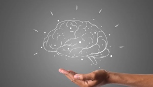 Exercises for the brain and memory development of an adult
