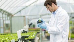 Plant related professions