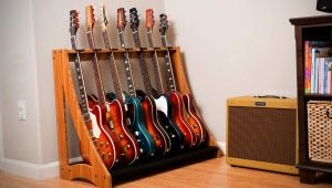 Guitar Accessories and Instruments