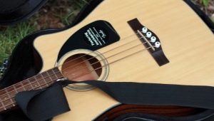 Fender Acoustic Guitars