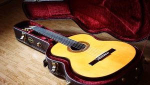 Acoustic Guitars Martinez