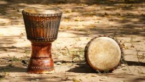 What is djembe and how to choose it?