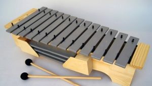 What is a metallophone and how to choose it?