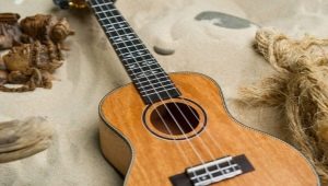 Ukulele designs and colors