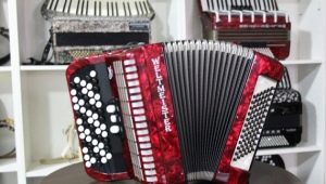 What are accordions and how to tune them?
