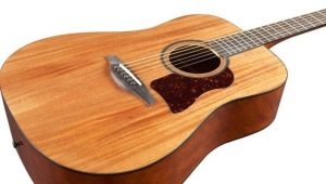 Hohner Guitars Review