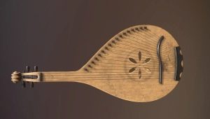 Review of the musical instrument kobza