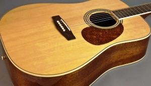 Description of acoustic guitars Cort