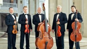 Differences between double bass and cello