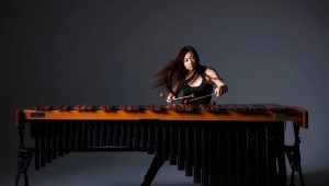 Everything you need to know about the marimba