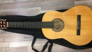 All About Adams Guitars