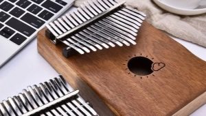 All about the musical instrument Kalimba