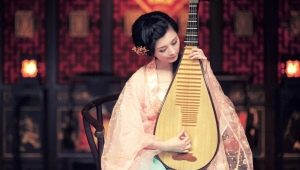All about pipa musical instrument