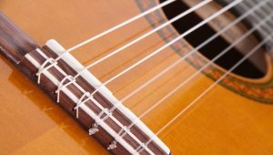 Tout sur les cordes de guitare classique