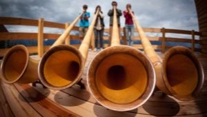All about the alpine horn