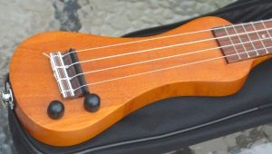 All about the electric ukulele
