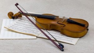 Choosing a violin bow