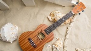 Choosing a ukulele concert