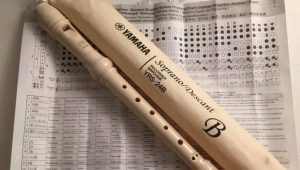 Recorder fingering chart