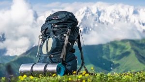 Everything You Need to Know About Travel Backpacks