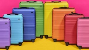 Suitcases on wheels
