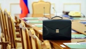 Who is a civil servant and what does he do?