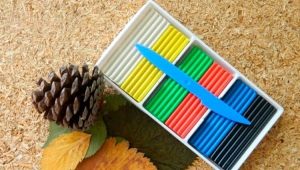 Crafts from cones and plasticine