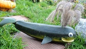 How to make a whale from a vegetable marrow?