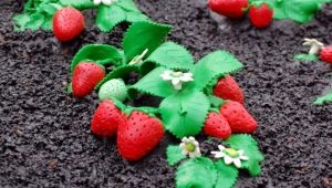 How to make plasticine strawberries?