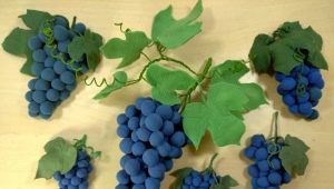 How to mold grapes from plasticine?