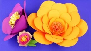 Crafts from paper and cardboard